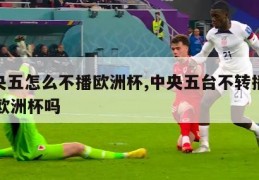 中央五怎么不播欧洲杯,中央五台不转播2021欧洲杯吗