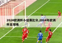 2024欧洲杯小组赛比分,2024年欧洲杯足球场