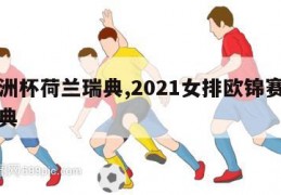 女欧洲杯荷兰瑞典,2021女排欧锦赛荷兰对瑞典