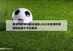 黄健翔欧洲杯解说语录,2021年欧洲杯黄健翔在哪个平台解说