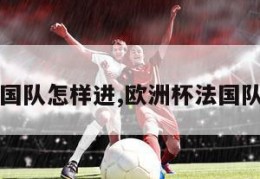 欧洲杯法国队怎样进,欧洲杯法国队出线了吗