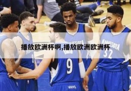 播放欧洲杯啊,播放欧洲欧洲杯