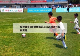 央视体育5欧洲杯解说,cctv5欧洲杯解说安排