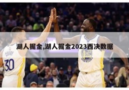 湖人掘金,湖人掘金2023西决数据