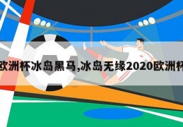 欧洲杯冰岛黑马,冰岛无缘2020欧洲杯