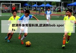 欧洲杯体育报料侠,欧洲杯bob sports