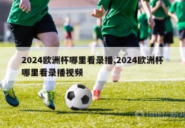 2024欧洲杯哪里看录播,2024欧洲杯哪里看录播视频