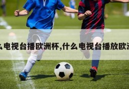 什么电视台播欧洲杯,什么电视台播放欧洲杯