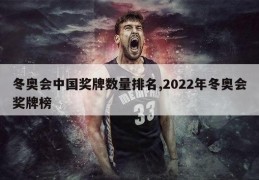 冬奥会中国奖牌数量排名,2022年冬奥会奖牌榜